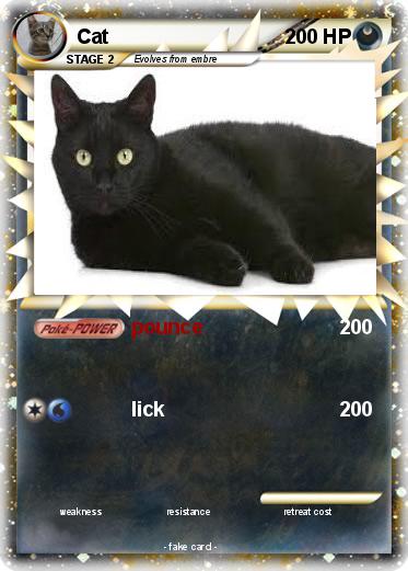 Pokemon Cat