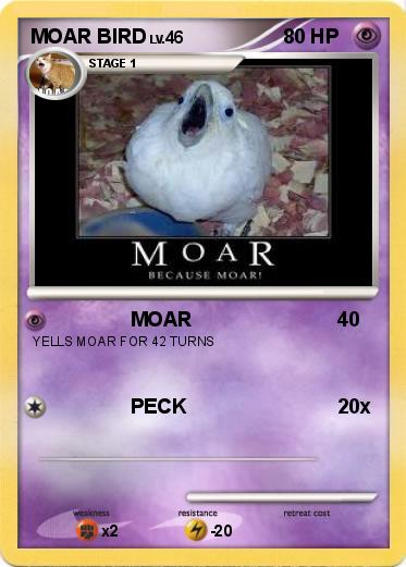 Pokemon MOAR BIRD