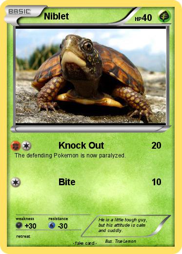 Pokemon Niblet