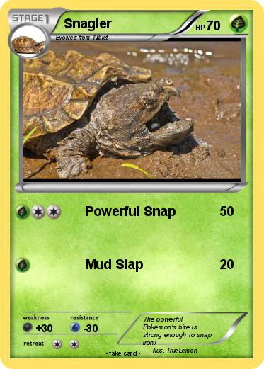 Pokemon Snagler