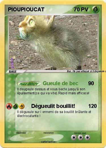Pokemon PIOUPIOUCAT