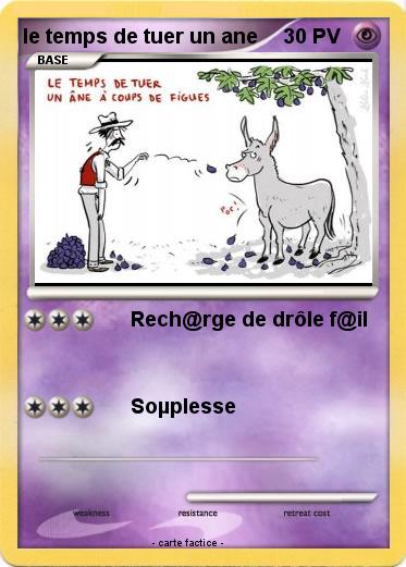 Pokemon le temps de tuer un ane