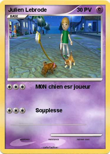 Pokemon Julien Lebrode