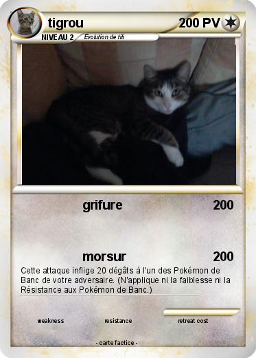 Pokemon tigrou