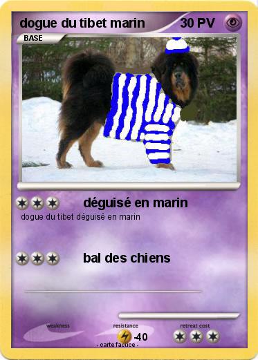 Pokemon dogue du tibet marin