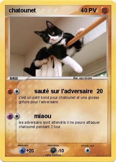 Pokemon chatounet