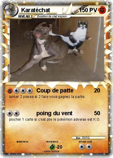 Pokemon Karatéchat
