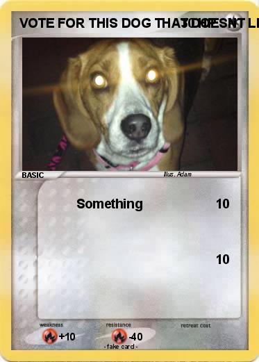 Pokemon VOTE FOR THIS DOG THAT DOESNT LIKE LIGHT