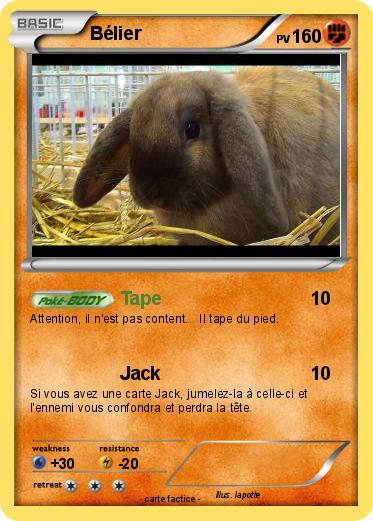 Pokemon Bélier