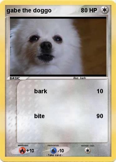 Pokemon gabe the doggo