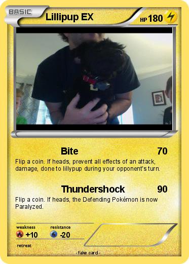 Pokemon Lillipup EX
