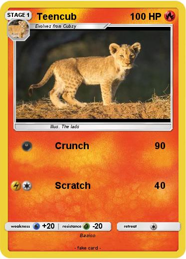 Pokemon Teencub