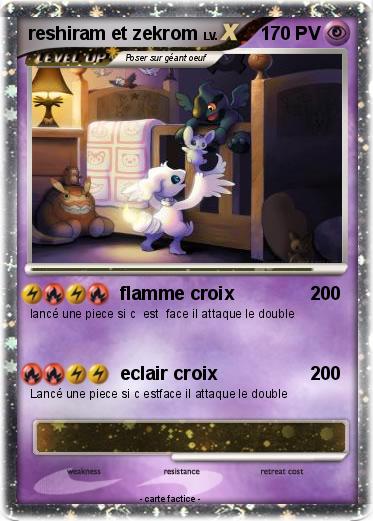 Pokemon reshiram et zekrom