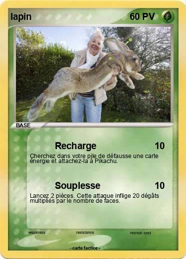 Pokemon lapin