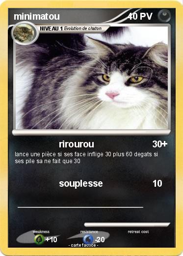 Pokemon minimatou