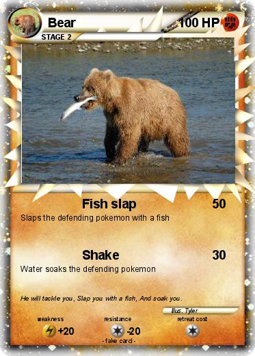 Pokemon Bear