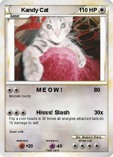 Pokemon Kandy Cat