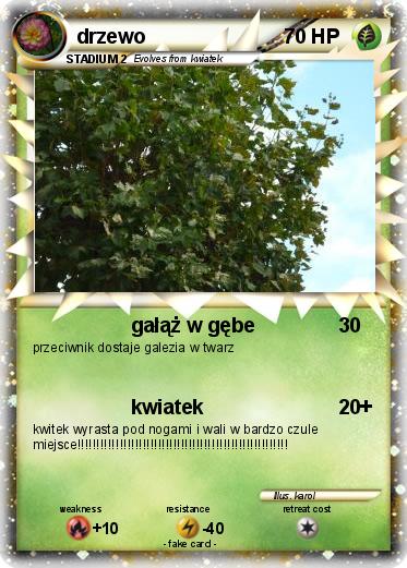 Pokemon drzewo