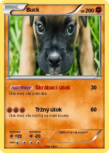 Pokemon Buck