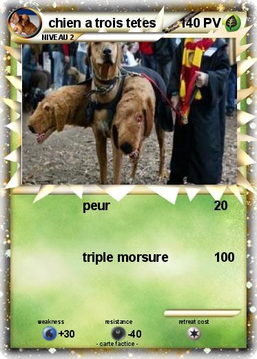 Pokemon chien a trois tetes