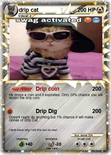 Pokemon drip cat