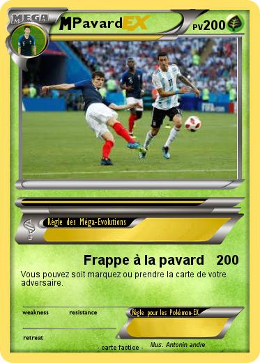 Pokemon Pavard