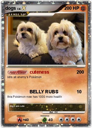 Pokemon dogs