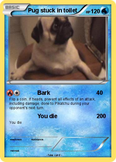Pokemon Pug stuck in toilet