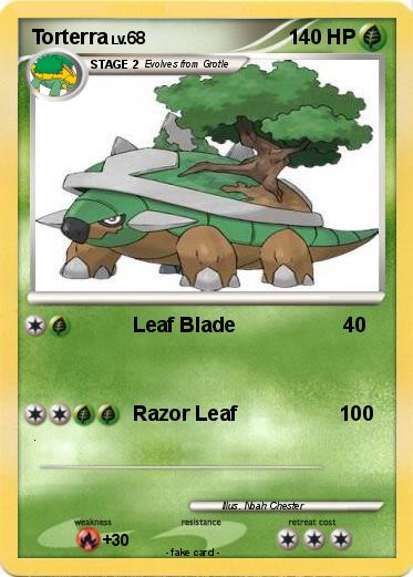 Pokemon Torterra