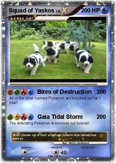 Pokemon Squad of Yaskos