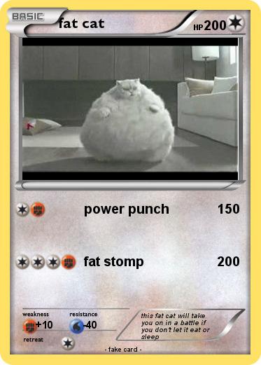 Pokemon fat cat