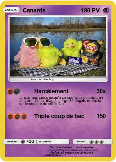 Pokemon Canards