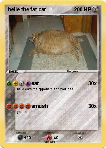 Pokemon belle the fat cat