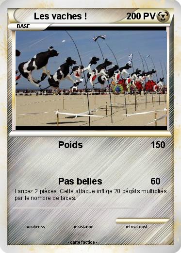 Pokemon Les vaches !