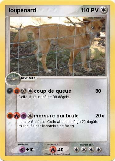 Pokemon loupenard