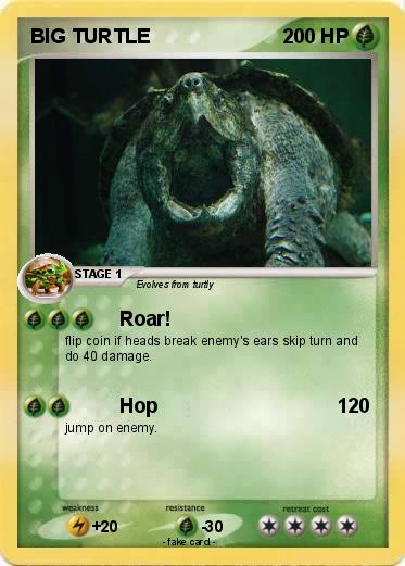 Pokemon BIG TURTLE
