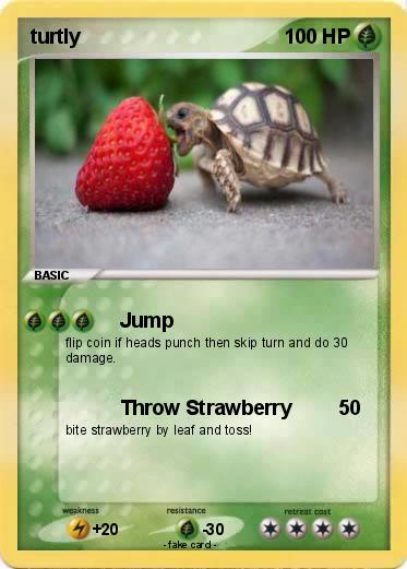 Pokemon turtly