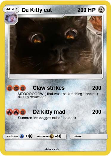 Pokemon Da Kitty cat