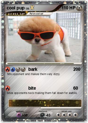 Pokemon cool pup