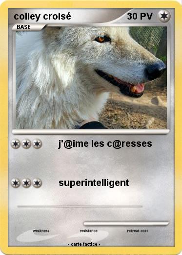 Pokemon colley croisé