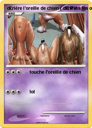 Pokemon d£rière l'oreille de chien ( d£rières les oreilles de chiens )