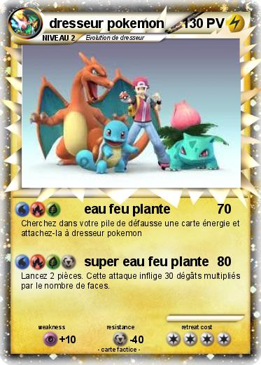 Pokemon dresseur pokemon