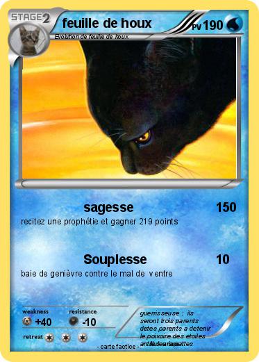 Pokemon feuille de houx