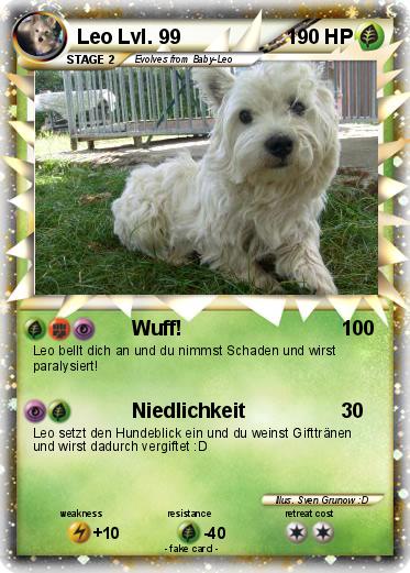 Pokemon Leo Lvl. 99