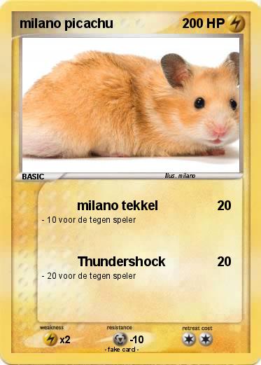 Pokemon milano picachu