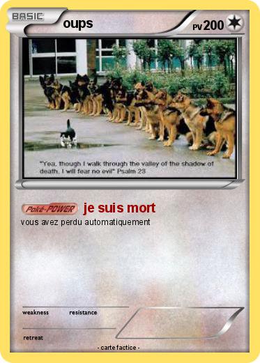 Pokemon oups