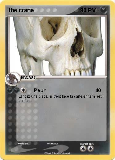 Pokemon the crane