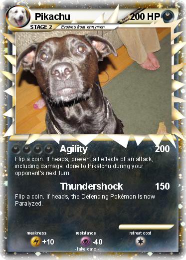 Pokemon black lab