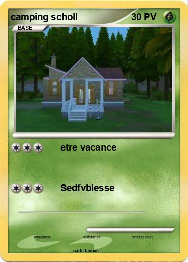 Pokemon camping scholl