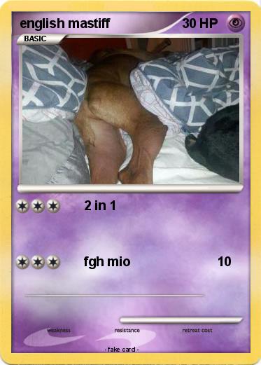 Pokemon english mastiff